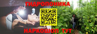 стафф Свободный