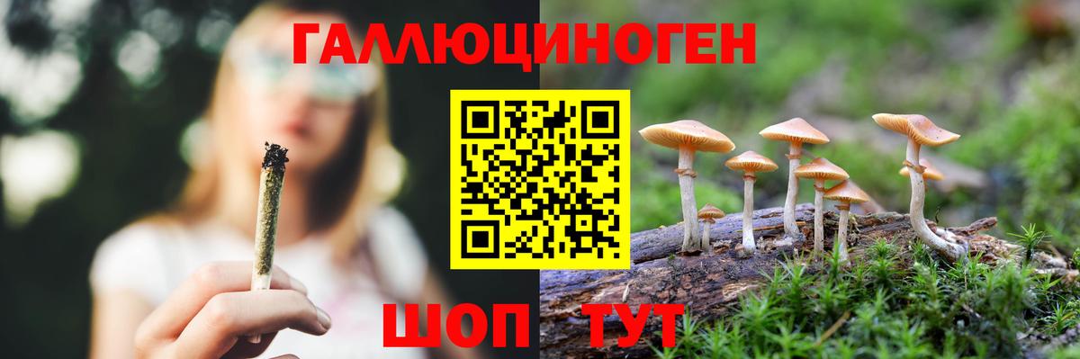 Галлюциногенные грибы GOLDEN TEACHER Сатка